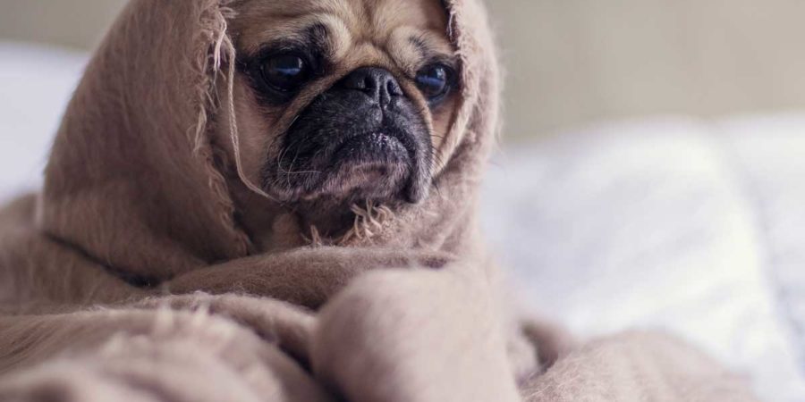 The 90-Minute Bed Time Routine Backed By Science