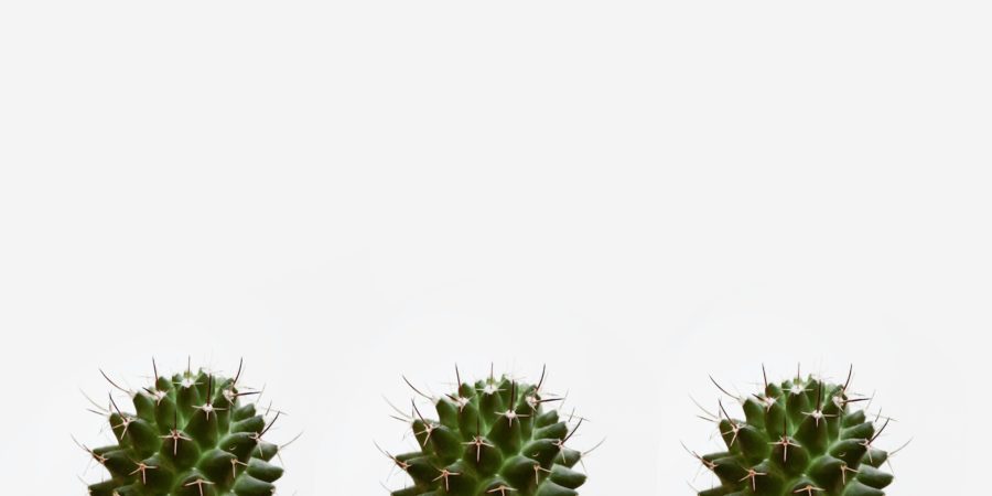 Three Uncomfortable Things Successful People Do (That You Should Too)